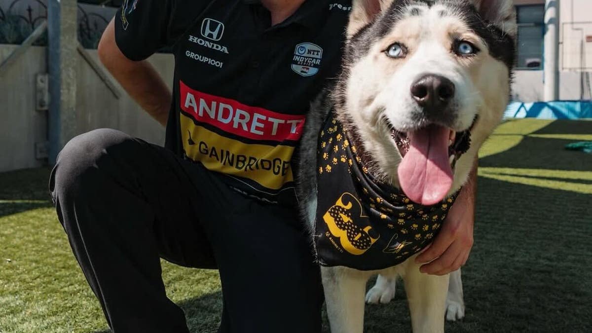 Colton Herta has a passion for helping rescue dogs find homes.(via Herta's Instagram)