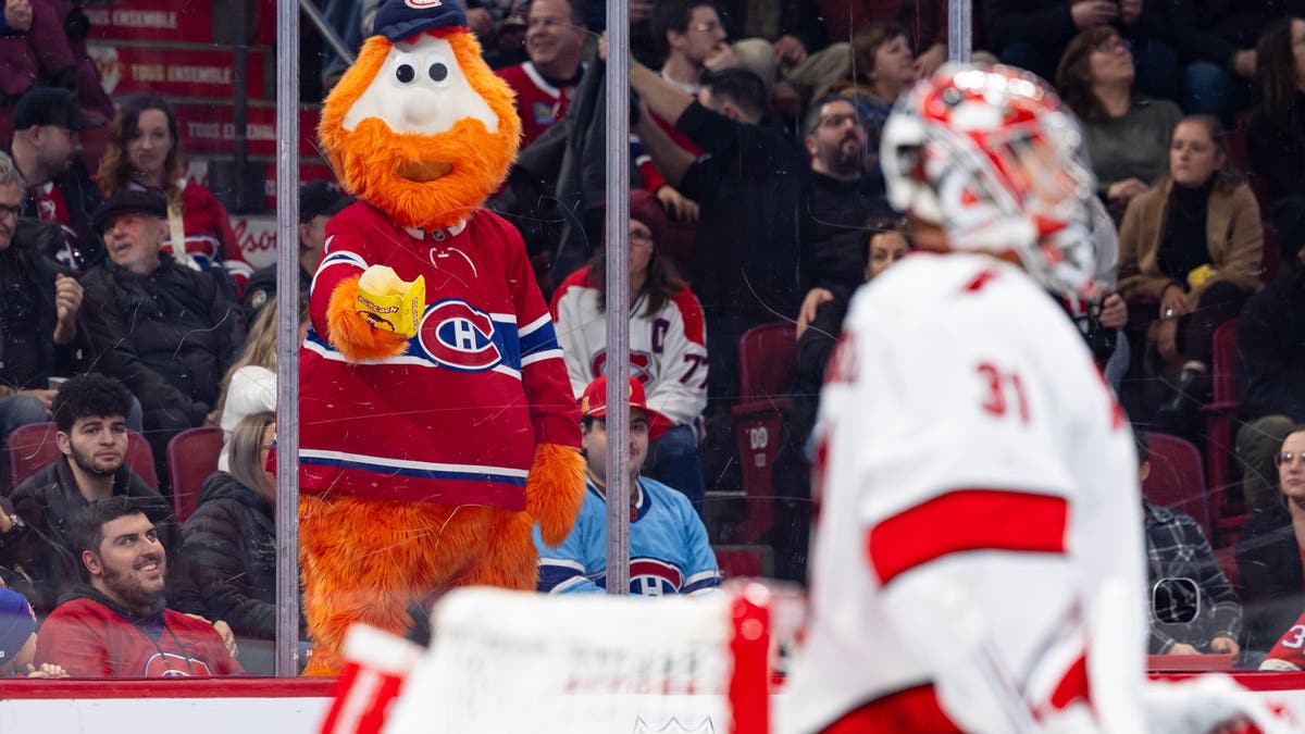 Youpii, once the Expos' beloved mascot, has since found a new home in Montreal with the NHL's Canadiens. (Photo by Vitor Munhoz/NHLI via Getty Images)