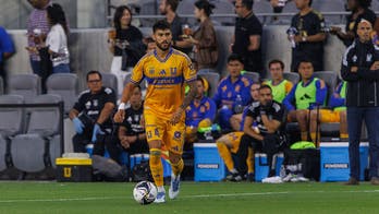 Tigres vs. Puebla: Liga MX preview, odds, how to watch, time