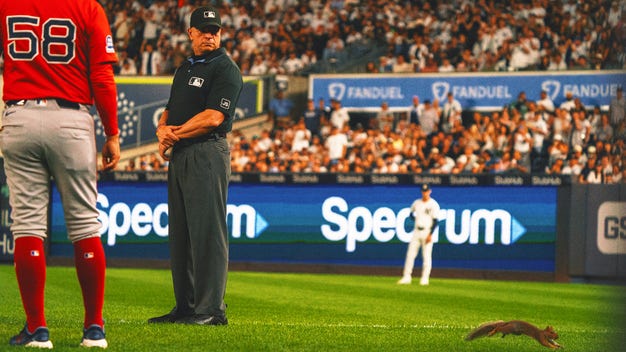 A Squirrel Interrupts Rivalry Between Red Sox and Yankees in the 4th inning