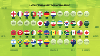 Next Story Image: 2026 FIFA World Cup: Who Has Qualified? Who Can Make It?