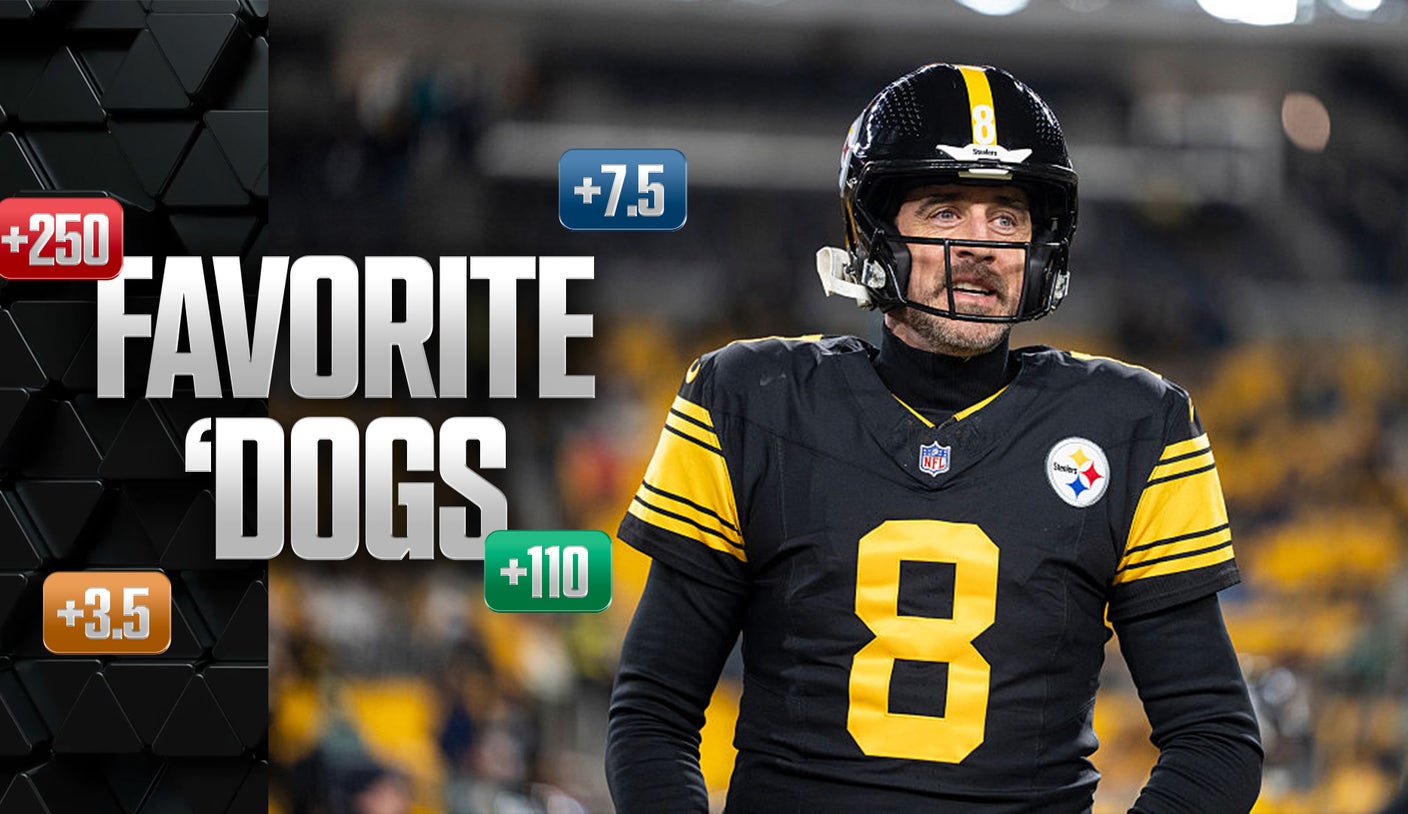 Cani preferiti: tornano Hurricanes contro Buckeyes, Steelers contro Ravens