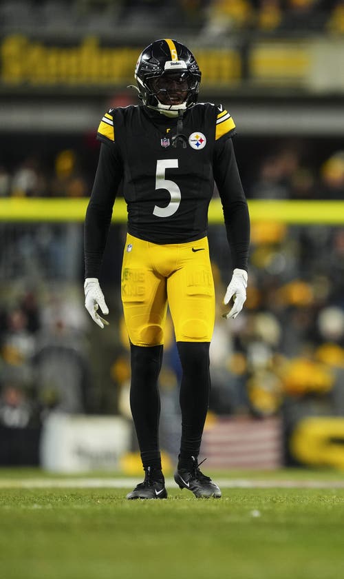 Fanatics Sportsbook Promo Code: Bet and Get up to $2000 on Dolphins-Steelers Plus FairPlay Cover