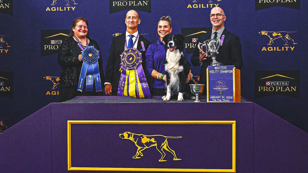 2026 WKC Dog Show: Prove-It The Border Collie Wins Masters Agility Championship