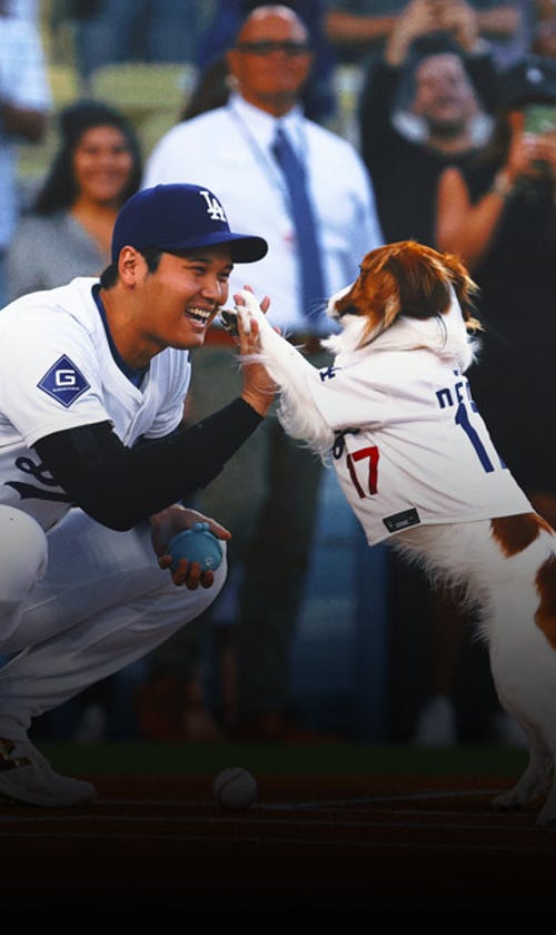 Dodgers Superstar Shohei Ohtani Writes Children's Book About His Dog Decoy