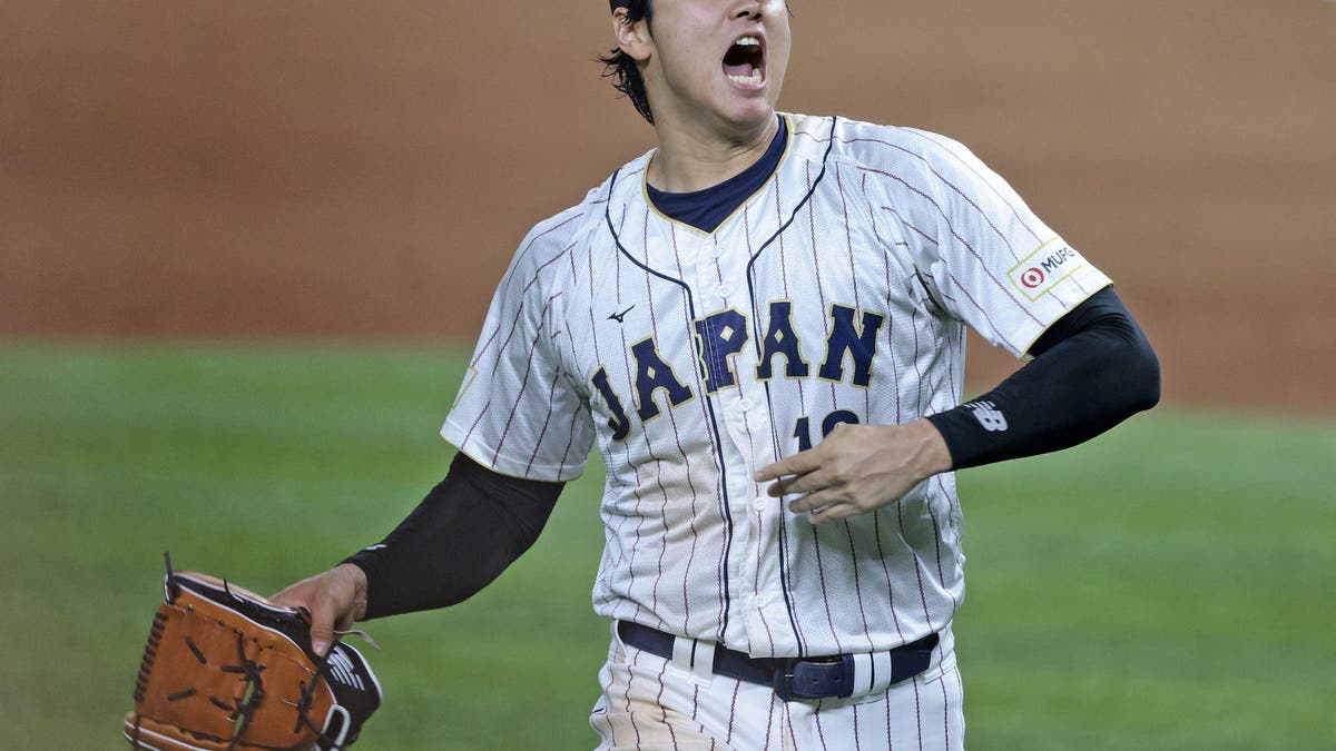  (Photo by Christopher Pasatieri/Getty Images)