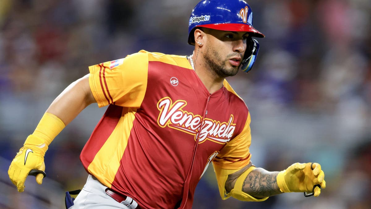 (Photo by Megan Briggs/Getty Images)