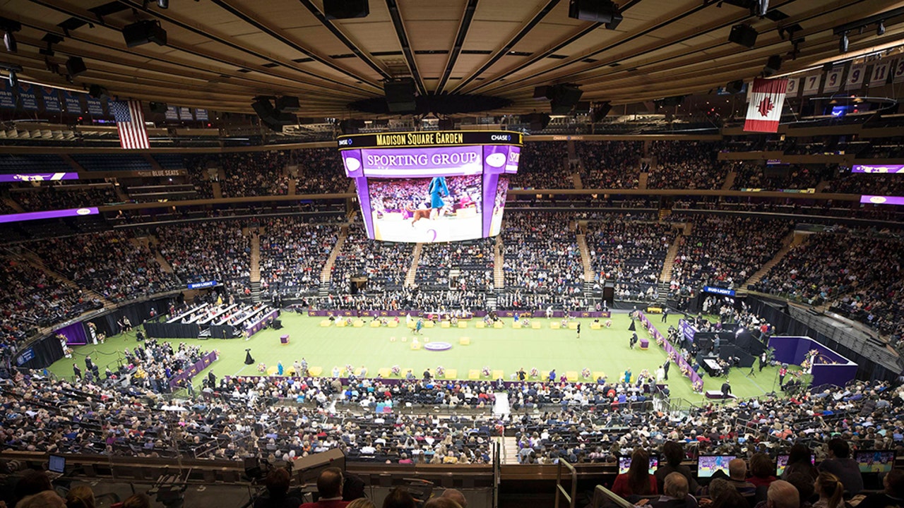 2017 Westminster Kennel Club Dog Show at Madison Square Garden