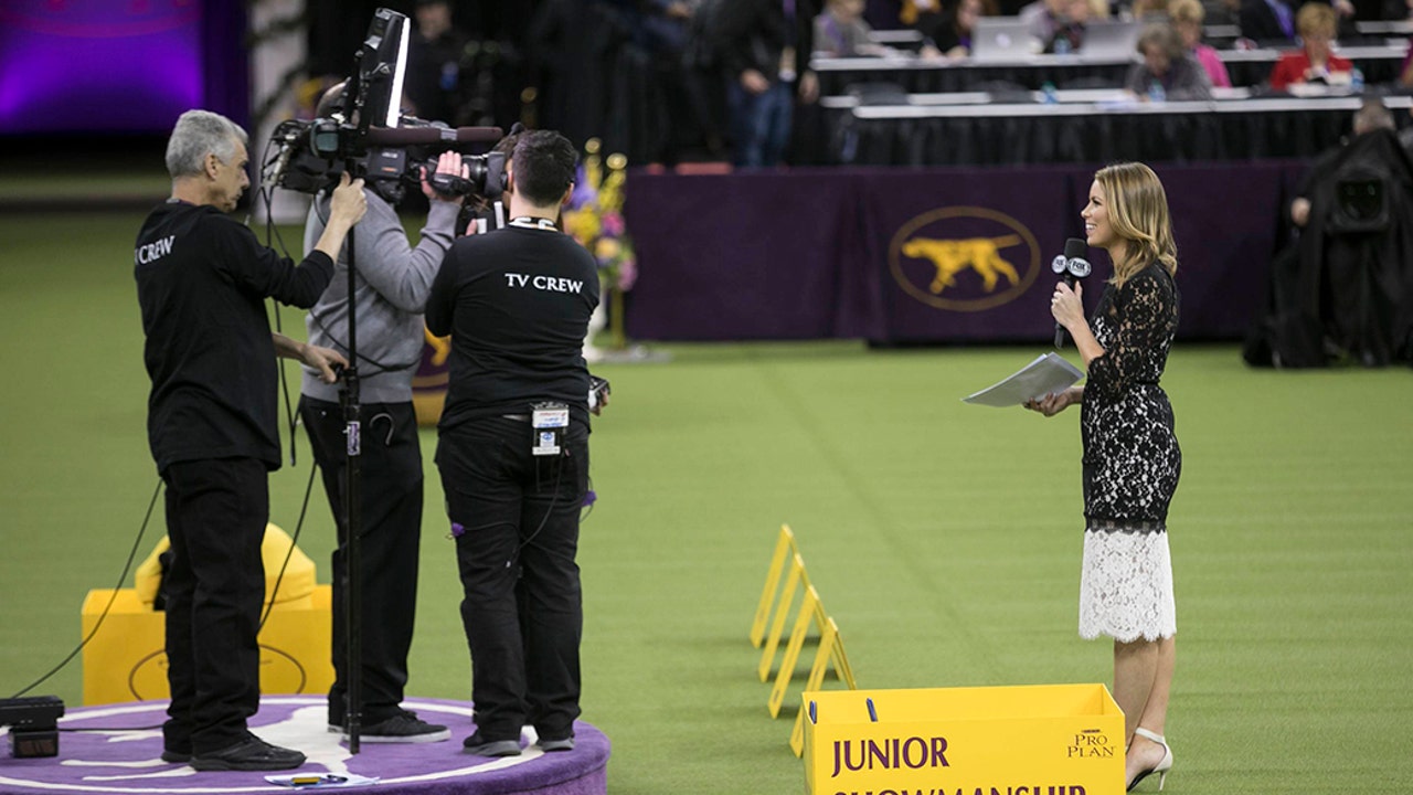 Jenny Taft Hosts the 2017 Westminster Kennel Club Dog Show