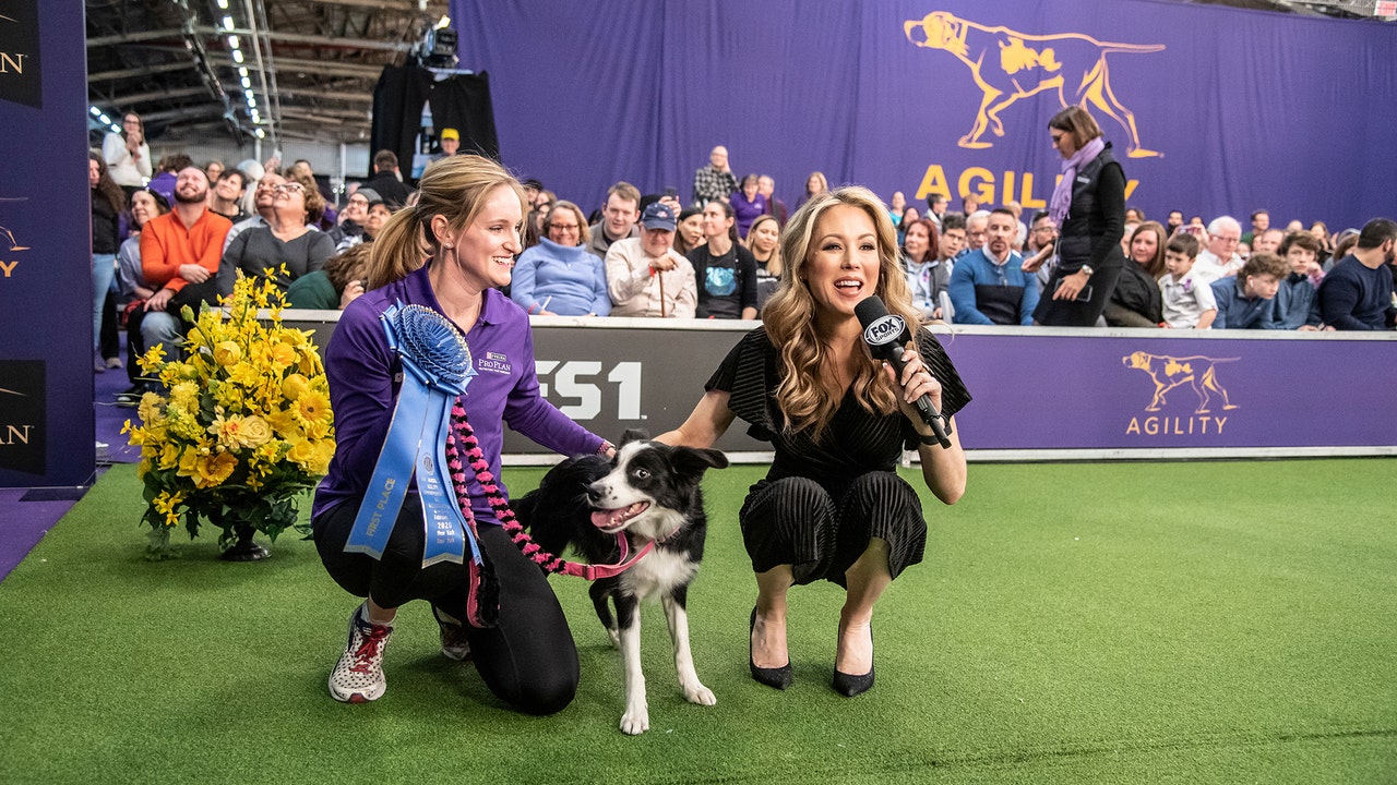 Jennifer Hale with P!nk the Border Collie at the 2020 Masters Agility Championship at Westminster