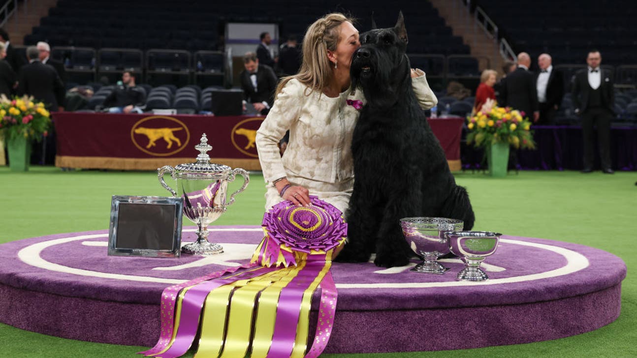 FOX SPORTS PRESENTS HISTORIC 150th WESTMINSTER KENNEL CLUB DOG SHOW PRESENTED BY PURINA PRO PLAN JANUARY 31, FEBRUARY 2–3