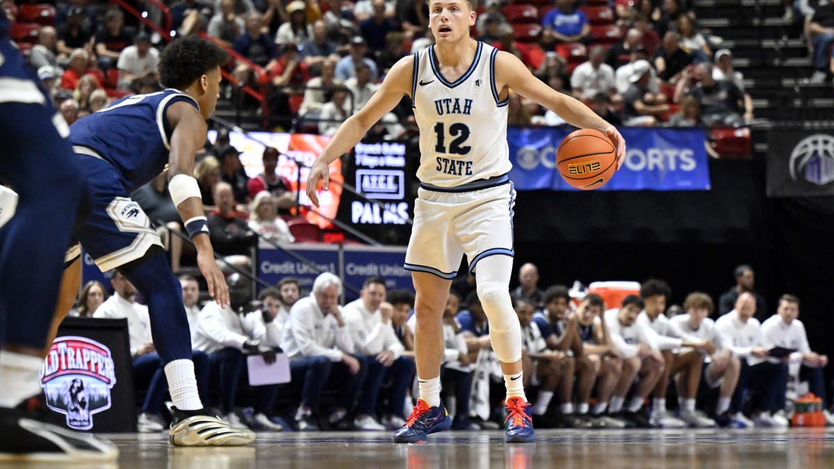 Mason Falslev of the Utah State Aggies. (Photo by David Becker/Getty Images)