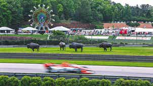 INDYCAR Trending Image: INDYCAR Race At Barber the Vision of Dairy Farmer who Loved Motorsports