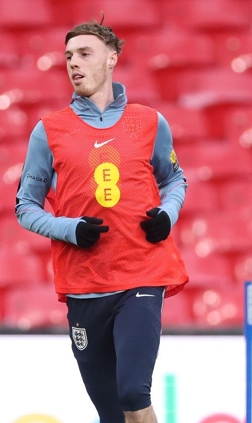 England's Cole Palmer Faces 'Big Pressure' According to Thomas Tuchel