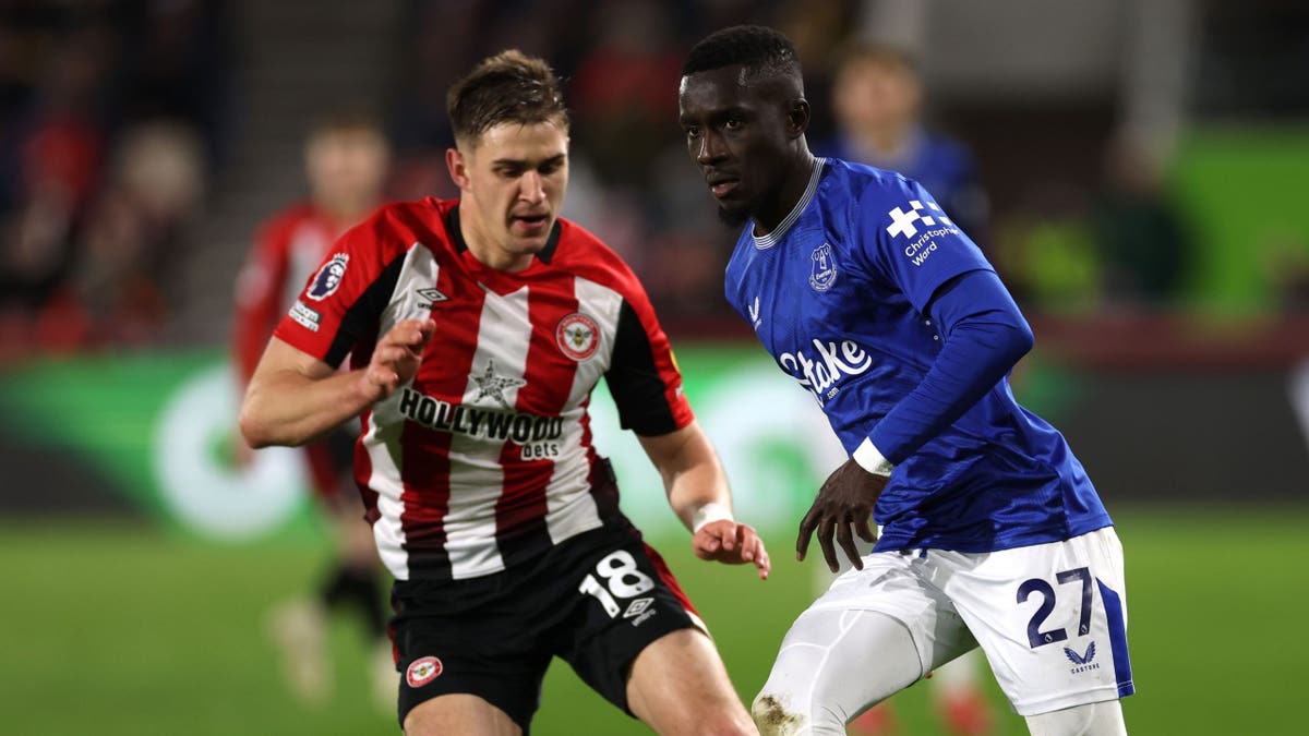 Brentford FC v Everton FC - Premier League