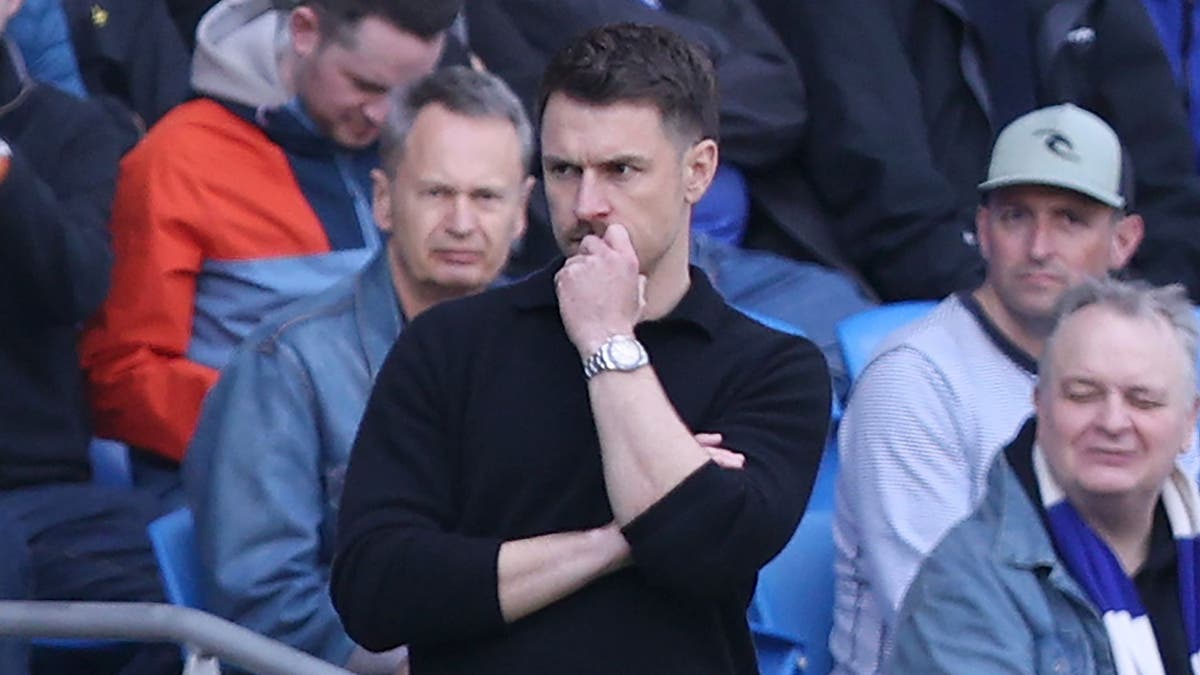 Cardiff City FC v Oxford United FC - Sky Bet Championship