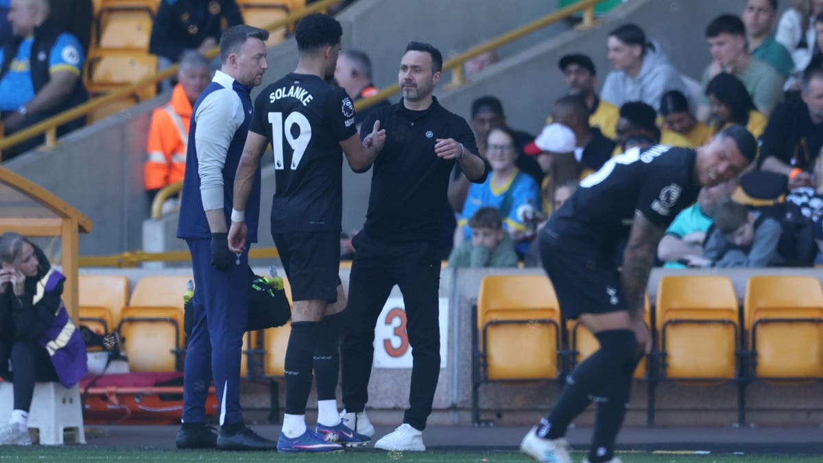 Wolverhampton Wanderers v Tottenham Hotspur - Premier League
