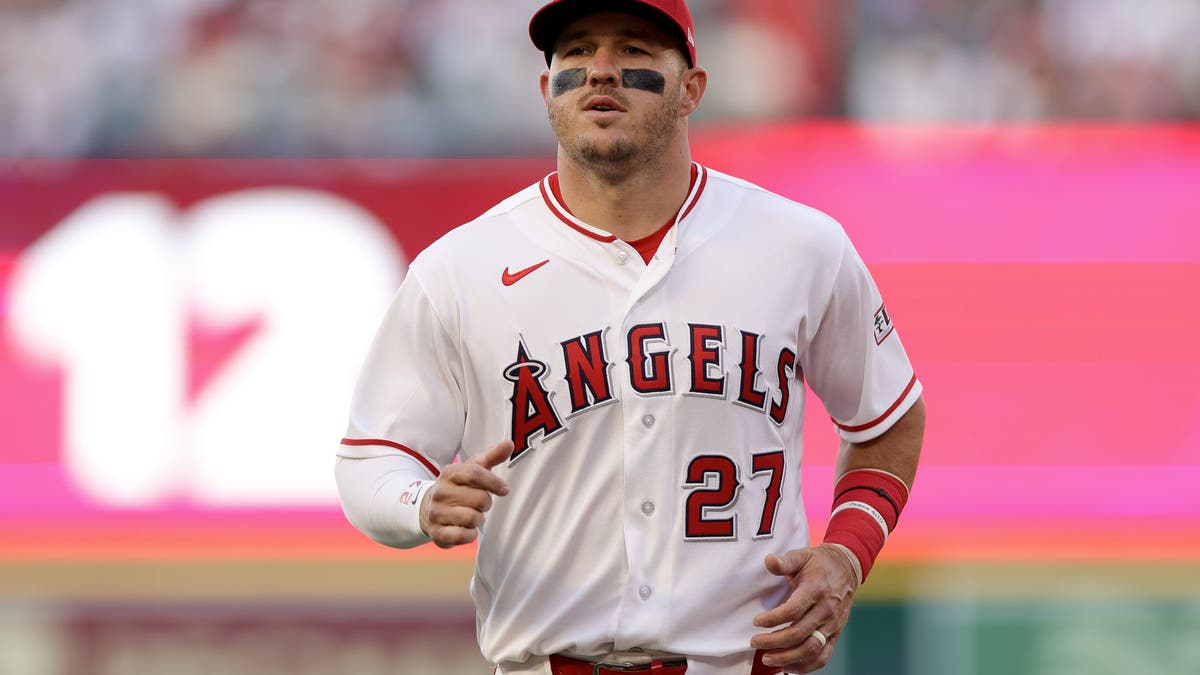 Is this the year that Mike Trout and the Angels get back to the playoffs for the first time since 2014. (Photo by Ryan Sun/Getty Images)