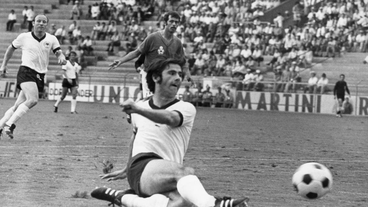 (Photo by dpa/picture alliance via Getty Images)