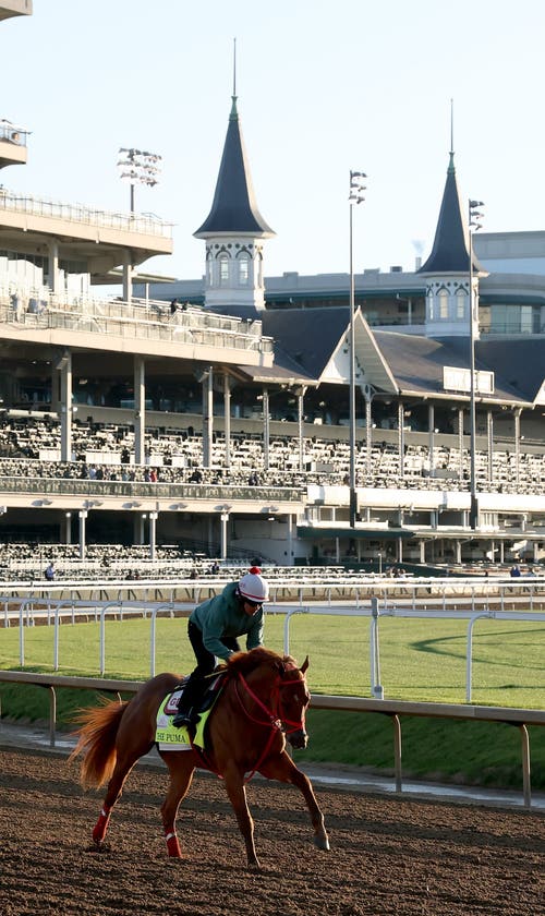 How to Bet on the Kentucky Derby 2026: Bet Types, Apps, and Tips