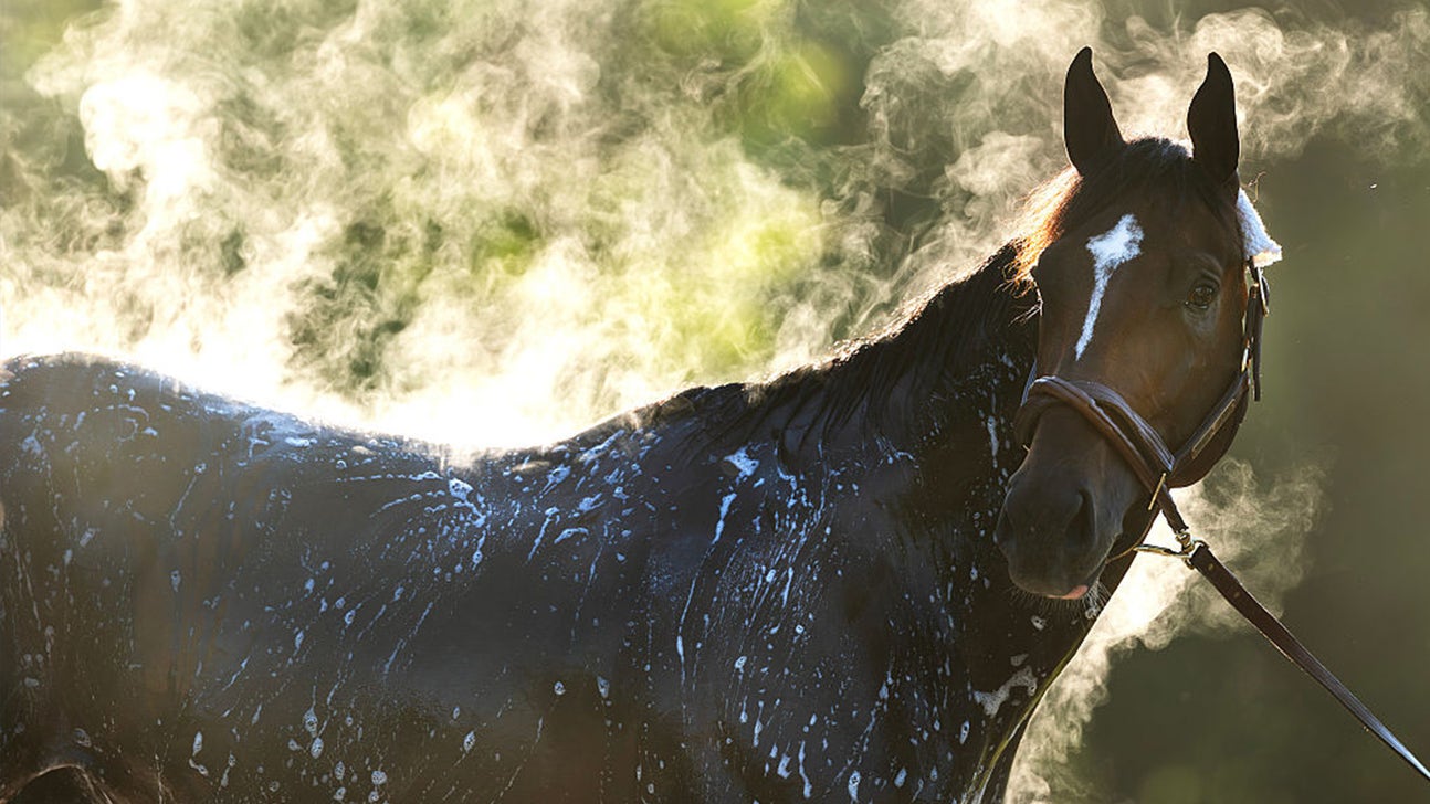 2026 Belmont Stakes Odds: 'I'm Not Sure Golden Tempo Is the Right Horse'