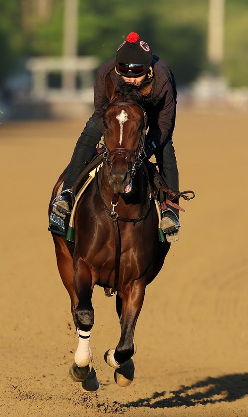 FOX Super 6 Belmont Stakes Contest: Chris 'The Bear' Fallica's Picks, Predictions