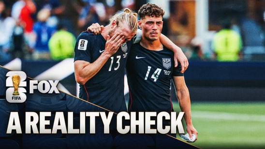 Zlatan Ibrahimović Delivers Honest Take After USA Falls To Belgium