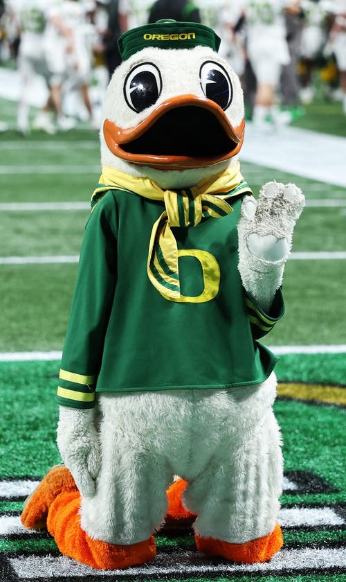 The Oregon Duck Found The Perfect Entrance To Ensure Its Head Didn't Fall Off