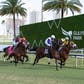 FOX Sports Expands Year-Round Horse Racing Coverage With Gulfstream Park Championship Meet